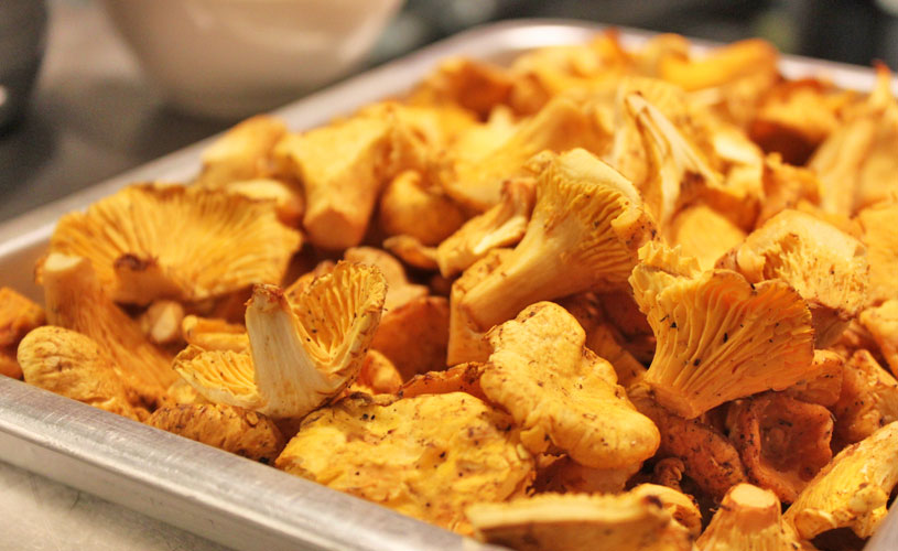 chefs-table-by-stephan-zoisl-tras-street-seasonal-chanterelle-mushrooms